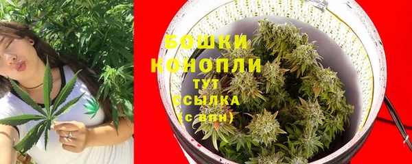 каннабис Гусиноозёрск