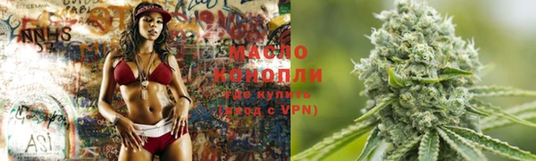 мяу мяу кристалл Гусь-Хрустальный