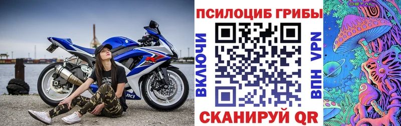 Купить закладки  Новохопёрск  Галлюциногенные грибы мицелий 