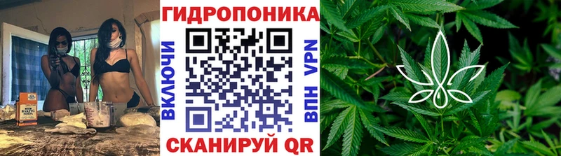 Купить закладки  Новохопёрск  Шишки марихуана план 